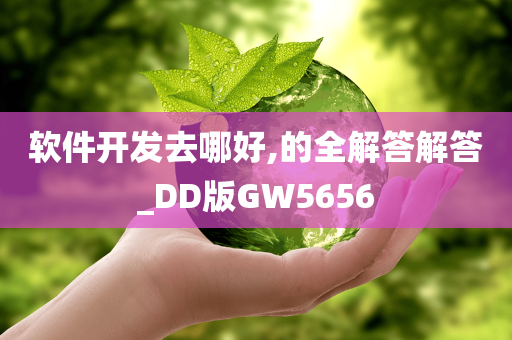 软件开发去哪好,的全解答解答_DD版GW5656