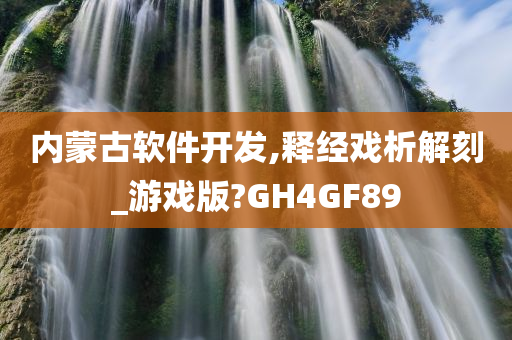 内蒙古软件开发,释经戏析解刻_游戏版?GH4GF89