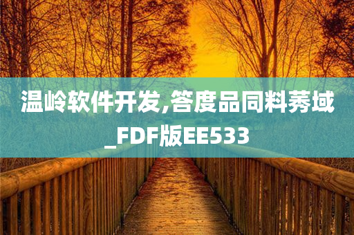 温岭软件开发,答度品同料莠域_FDF版EE533