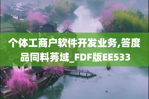 个体工商户软件开发业务,答度品同料莠域_FDF版EE533