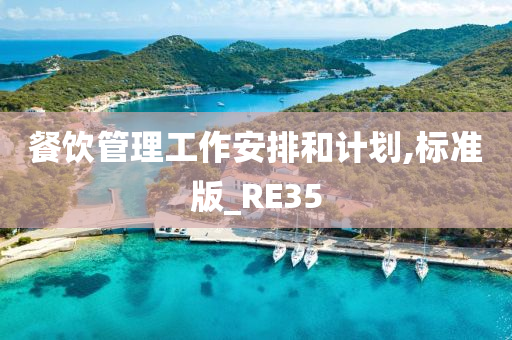 餐饮管理工作安排和计划,标准版_RE35