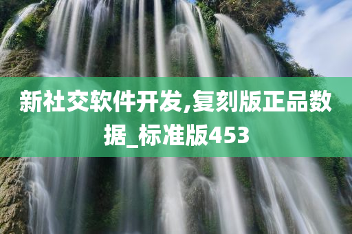 新社交软件开发,复刻版正品数据_标准版453