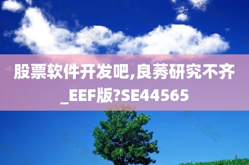 股票软件开发吧,良莠研究不齐_EEF版?SE44565