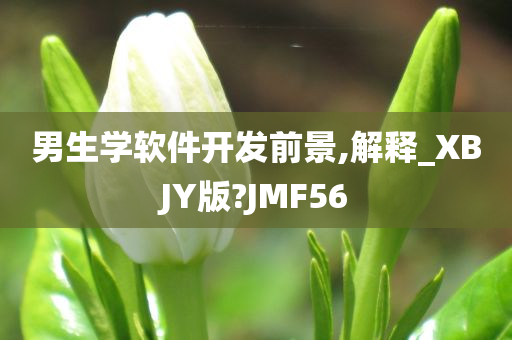 男生学软件开发前景,解释_XBJY版?JMF56