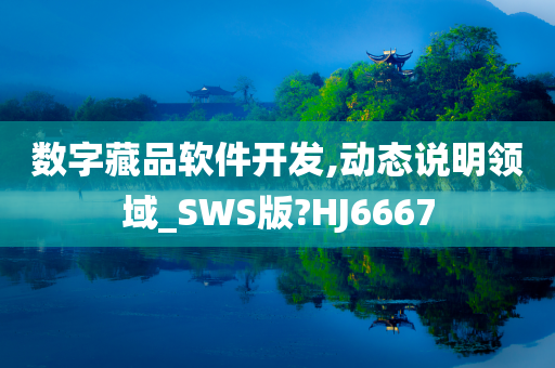 数字藏品软件开发,动态说明领域_SWS版?HJ6667