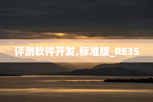 评测软件开发,标准版_RE35