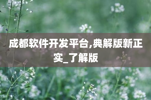 成都软件开发平台,典解版新正实_了解版