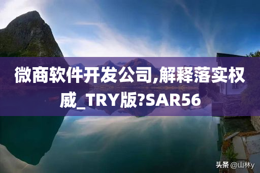 微商软件开发公司,解释落实权威_TRY版?SAR56