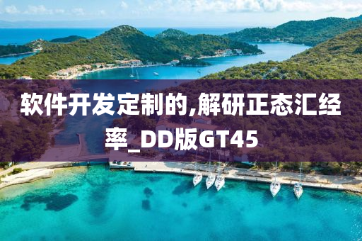 软件开发定制的,解研正态汇经率_DD版GT45