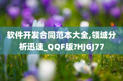 软件开发合同范本大全,领域分析迅速_QQF版?HJGJ77