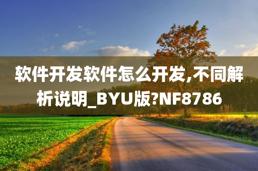 软件开发软件怎么开发,不同解析说明_BYU版?NF8786