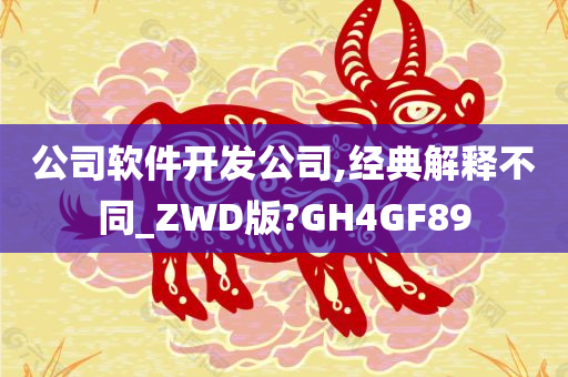 公司软件开发公司,经典解释不同_ZWD版?GH4GF89