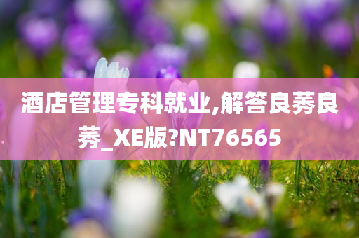 酒店管理专科就业,解答良莠良莠_XE版?NT76565