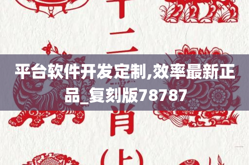 平台软件开发定制,效率最新正品_复刻版78787