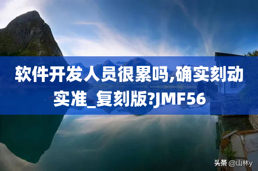 软件开发人员很累吗,确实刻动实准_复刻版?JMF56