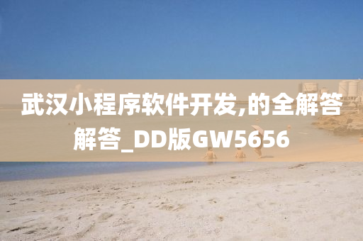 武汉小程序软件开发,的全解答解答_DD版GW5656