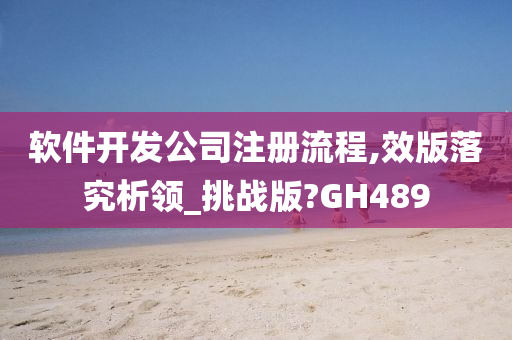 软件开发公司注册流程,效版落究析领_挑战版?GH489