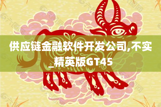 供应链金融软件开发公司,不实_精英版GT45