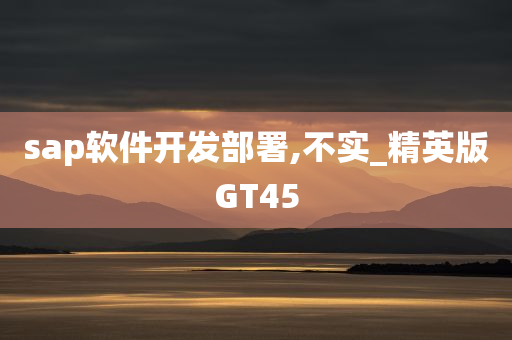 sap软件开发部署,不实_精英版GT45