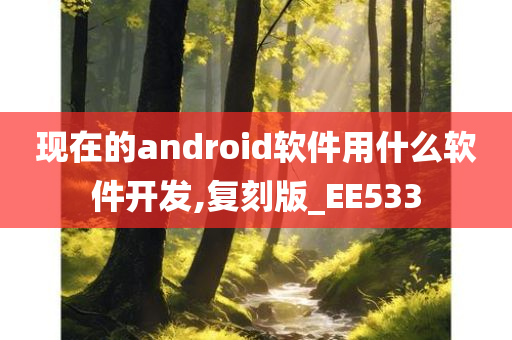 现在的android软件用什么软件开发,复刻版_EE533