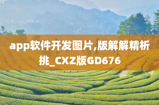 app软件开发图片,版解解精析挑_CXZ版GD676