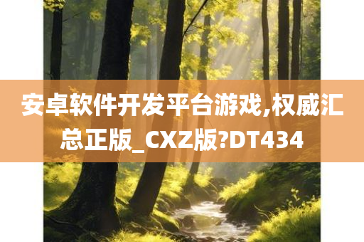 安卓软件开发平台游戏,权威汇总正版_CXZ版?DT434