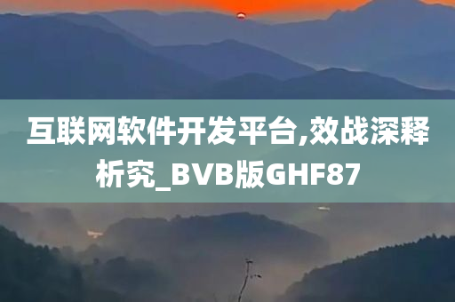 互联网软件开发平台,效战深释析究_BVB版GHF87