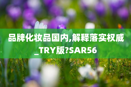 品牌化妆品国内,解释落实权威_TRY版?SAR56