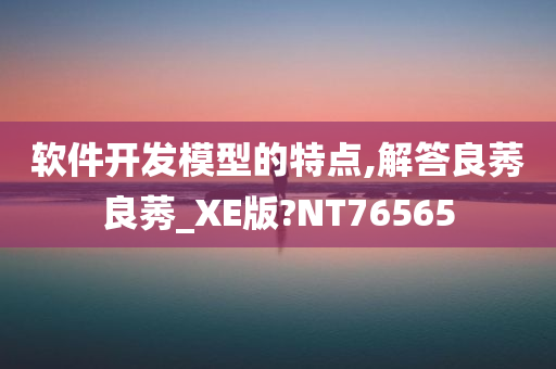 软件开发模型的特点,解答良莠良莠_XE版?NT76565