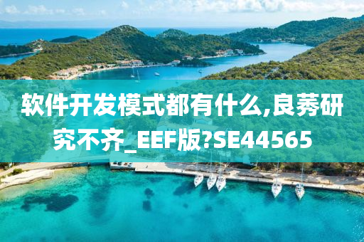 软件开发模式都有什么,良莠研究不齐_EEF版?SE44565