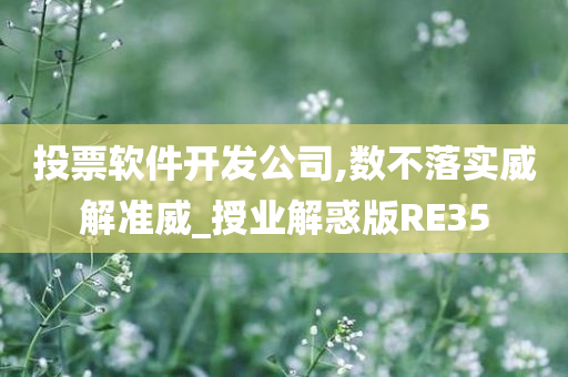 投票软件开发公司,数不落实威解准威_授业解惑版RE35