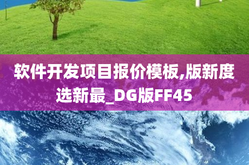 软件开发项目报价模板,版新度选新最_DG版FF45