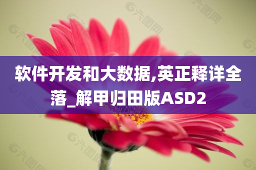 软件开发和大数据,英正释详全落_解甲归田版ASD2