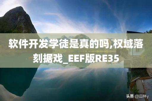 软件开发学徒是真的吗,权域落刻据戏_EEF版RE35