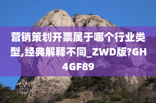 营销策划开票属于哪个行业类型,经典解释不同_ZWD版?GH4GF89