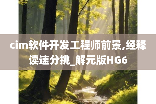 cim软件开发工程师前景,经释读速分挑_解元版HG6