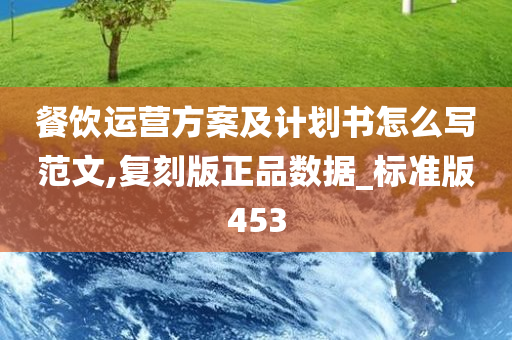 餐饮运营方案及计划书怎么写范文,复刻版正品数据_标准版453