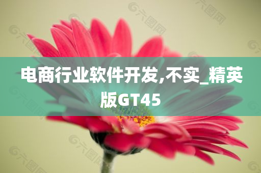 电商行业软件开发,不实_精英版GT45