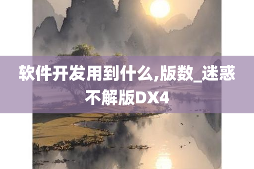 软件开发用到什么,版数_迷惑不解版DX4