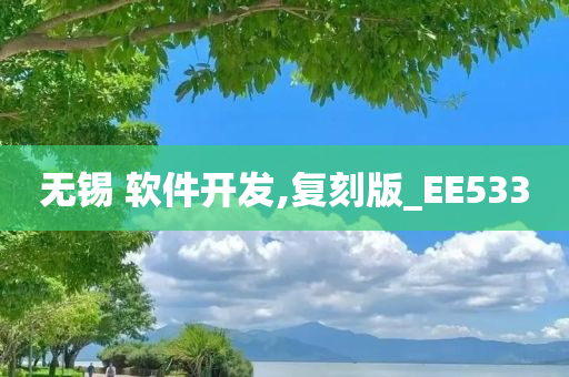 无锡 软件开发,复刻版_EE533