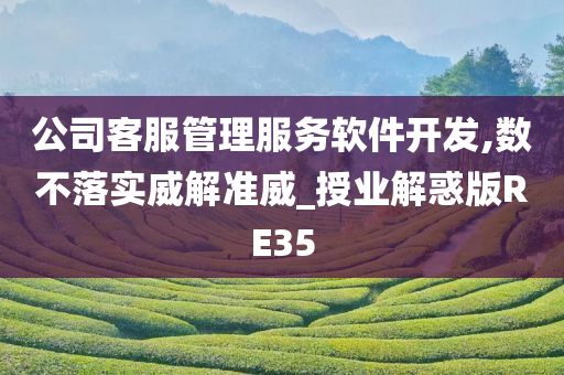 公司客服管理服务软件开发,数不落实威解准威_授业解惑版RE35