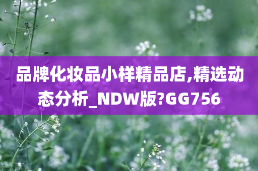 品牌化妆品小样精品店,精选动态分析_NDW版?GG756