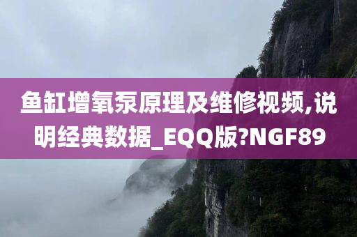 鱼缸增氧泵原理及维修视频,说明经典数据_EQQ版?NGF89