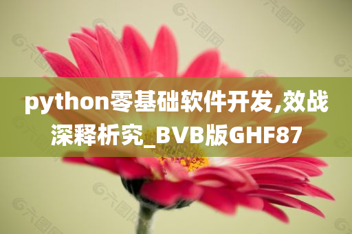 python零基础软件开发,效战深释析究_BVB版GHF87