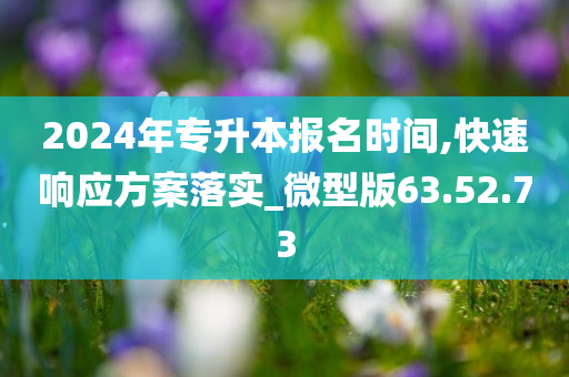 2024年专升本报名时间,快速响应方案落实_微型版63.52.73