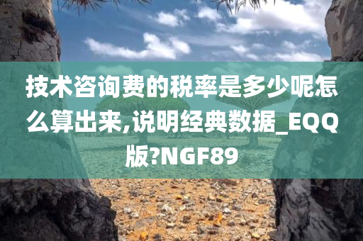 技术咨询费的税率是多少呢怎么算出来,说明经典数据_EQQ版?NGF89