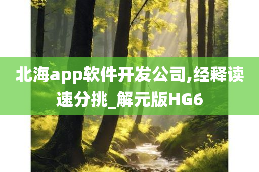 北海app软件开发公司,经释读速分挑_解元版HG6