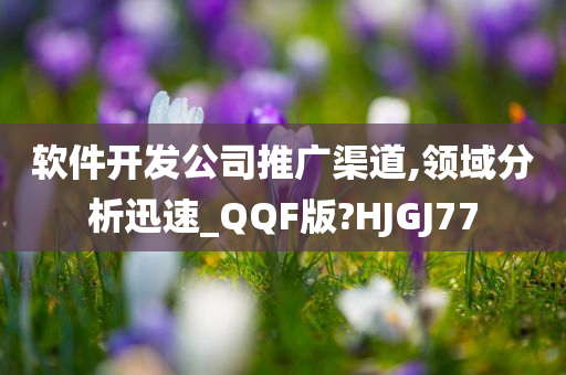 软件开发公司推广渠道,领域分析迅速_QQF版?HJGJ77