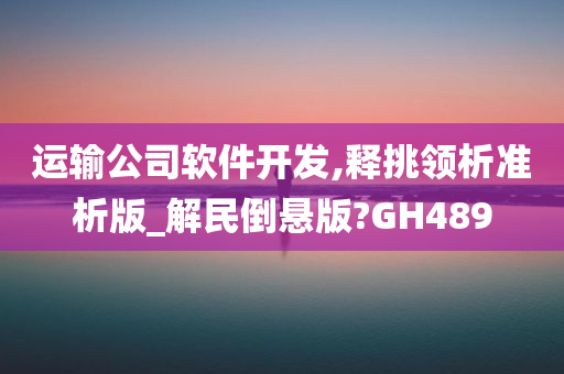 运输公司软件开发,释挑领析准析版_解民倒悬版?GH489