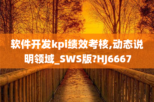 软件开发kpi绩效考核,动态说明领域_SWS版?HJ6667